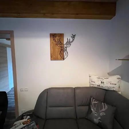 Bergnest Ferienhaeuser 